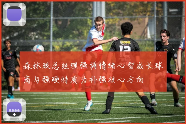 森林狼总经理强调情绪心智成长球商与强硬特质为补强核心方向