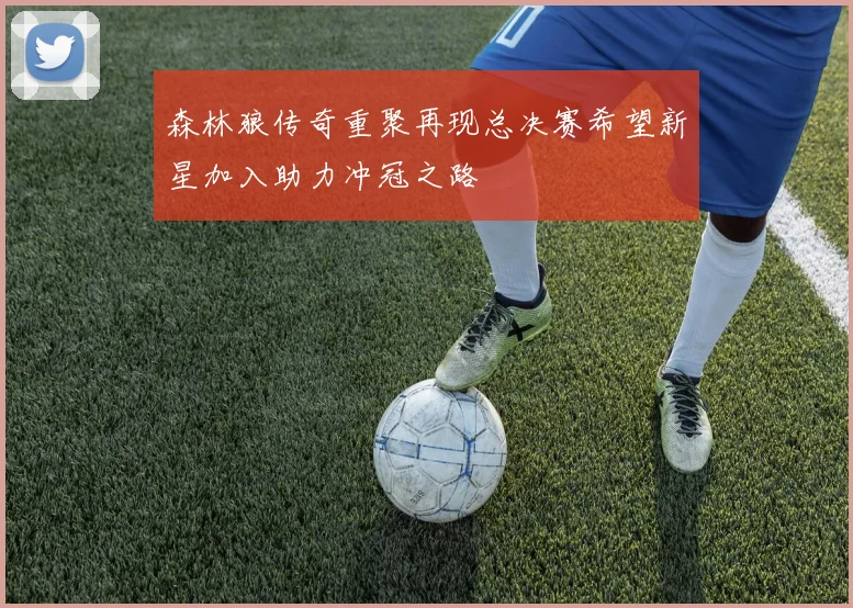 森林狼传奇重聚再现总决赛希望新星加入助力冲冠之路