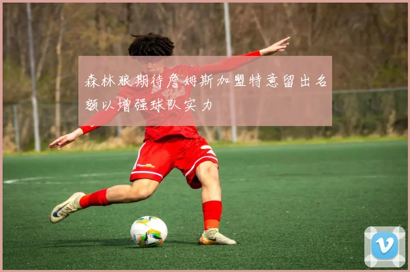 森林狼期待詹姆斯加盟特意留出名额以增强球队实力